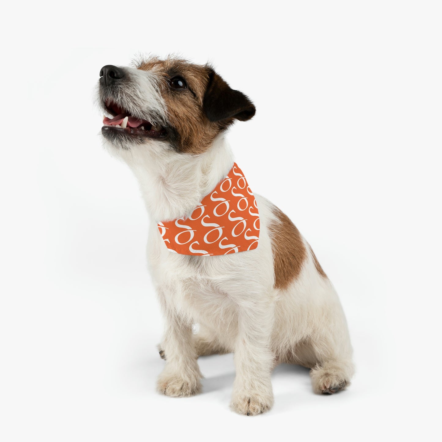 Smith & Associates Patterned Pet Bandana Collar