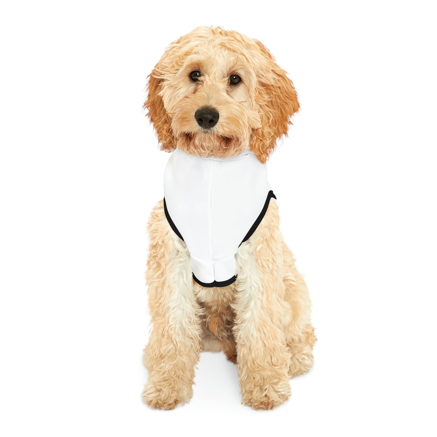 Smith & Associates Dog Hoodie