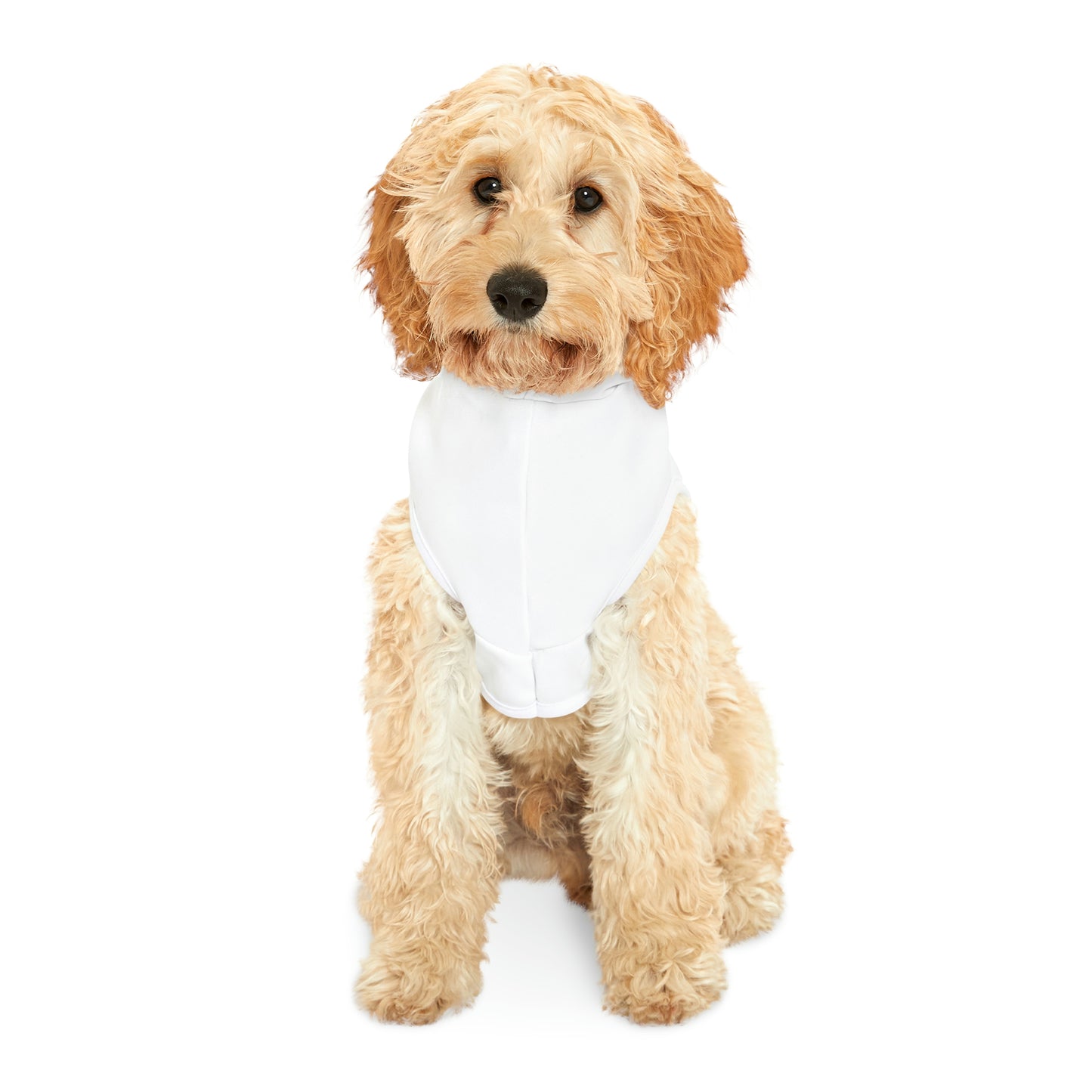 Smith & Associates Dog Hoodie