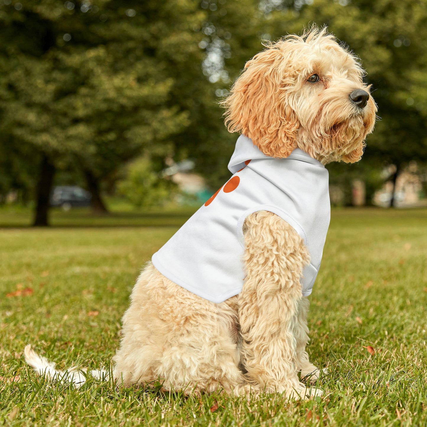 Smith & Associates Dog Hoodie