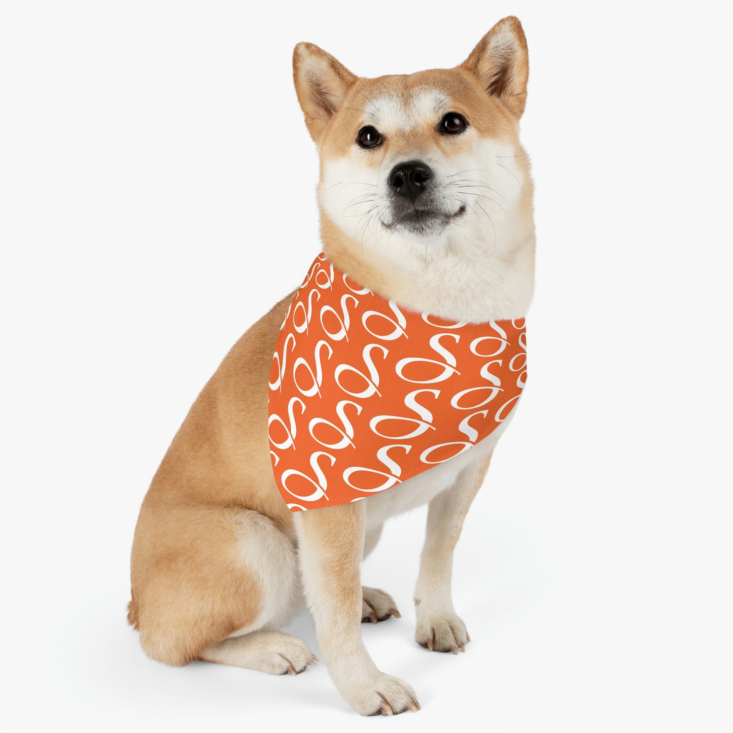 Smith & Associates Patterned Pet Bandana Collar