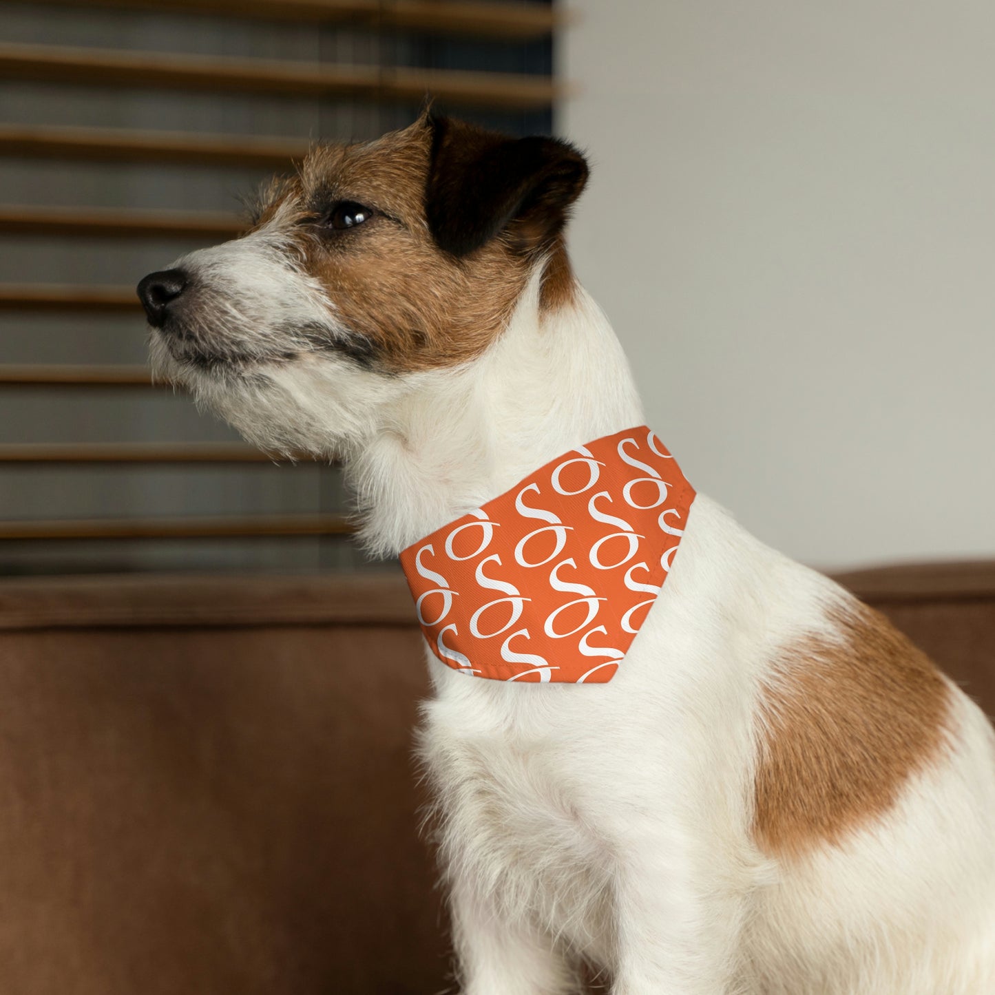 Smith & Associates Patterned Pet Bandana Collar