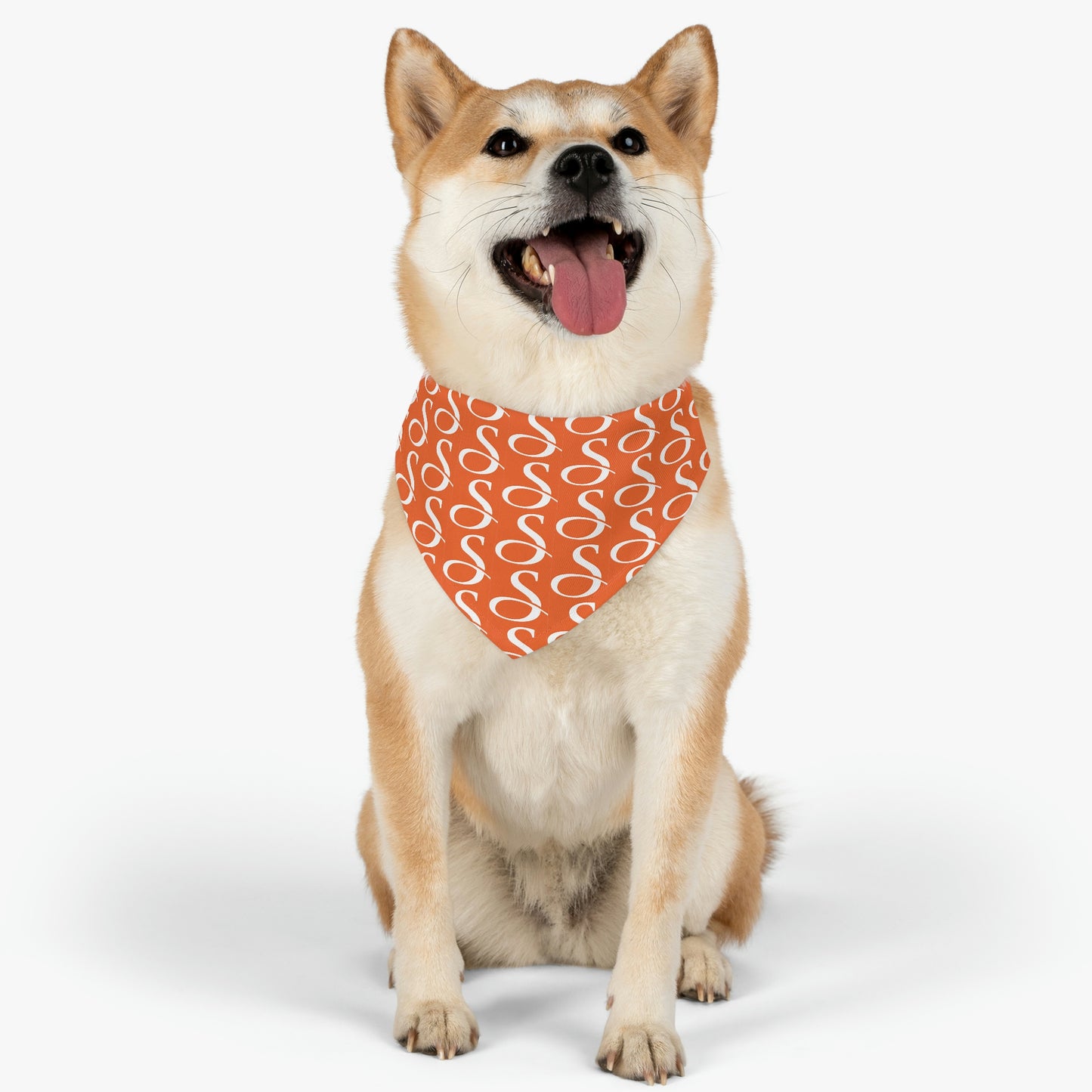 Smith & Associates Patterned Pet Bandana Collar