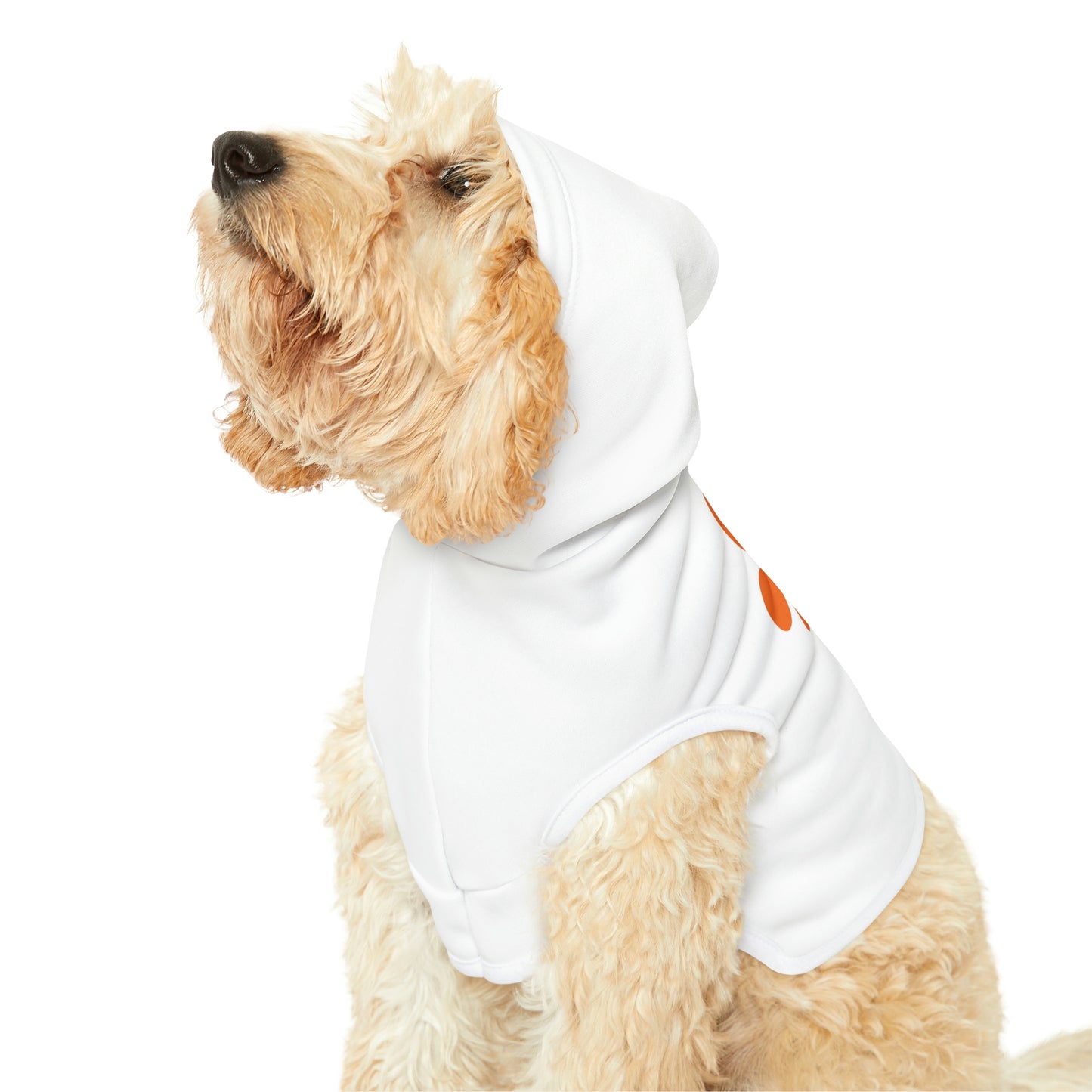 Smith & Associates Dog Hoodie