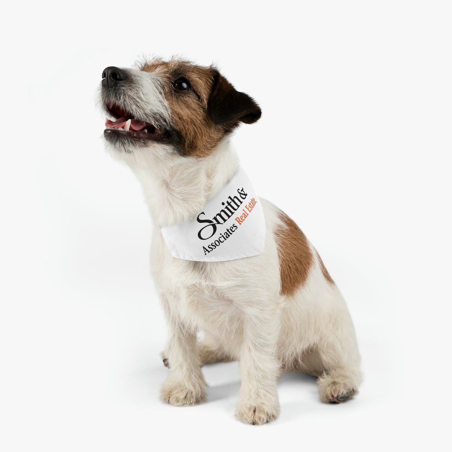 Smith & Associates Pet Bandana Collar